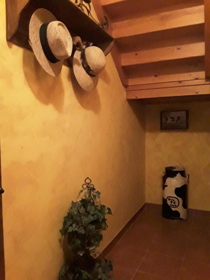 La Fragua De La Vega Estudios Екстериор снимка